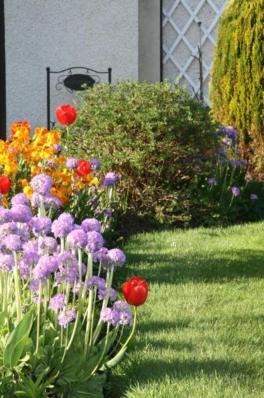 Ken-Mar House Bed And Breakfast Ballymoney Exterior photo
